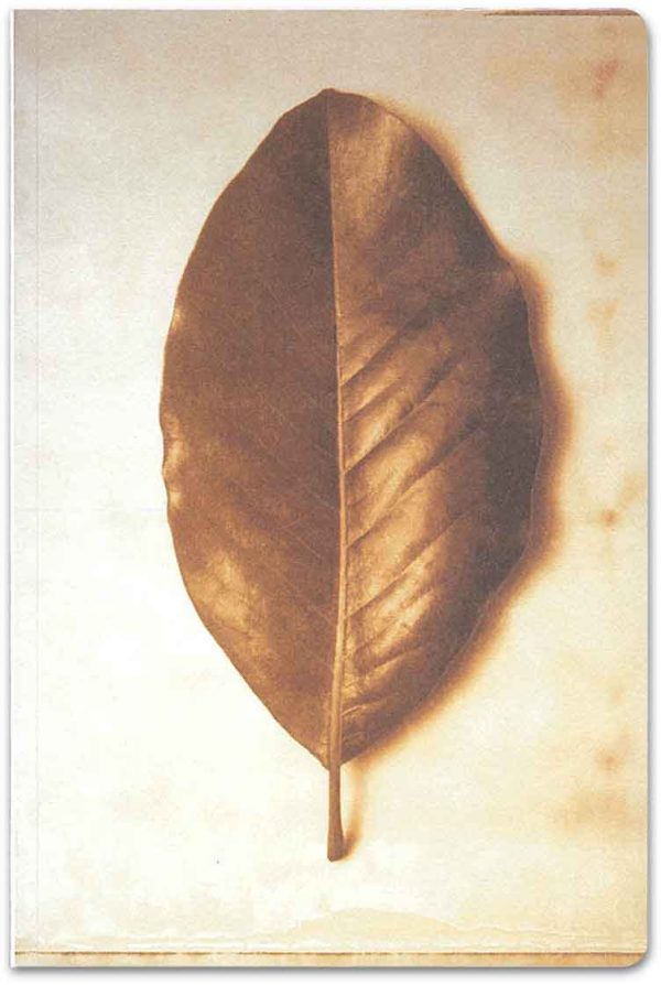 Leaf